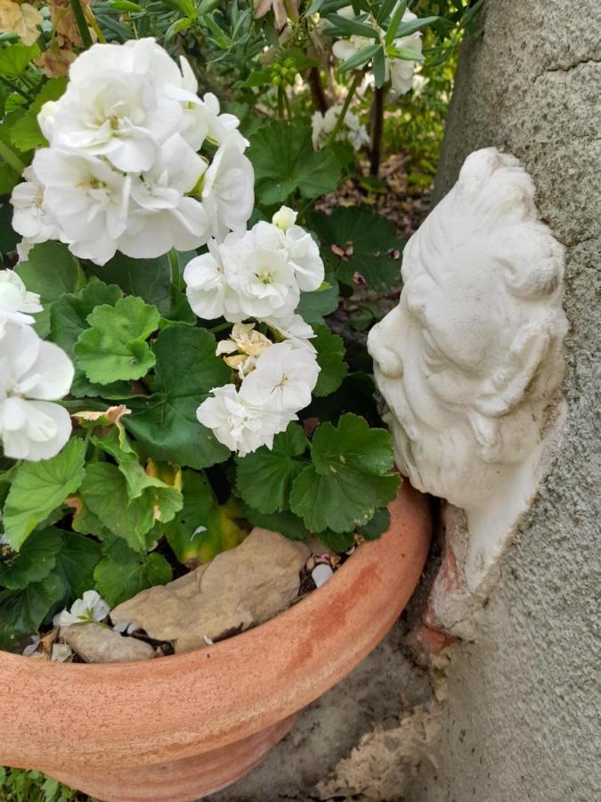 Monti Guesthouse Monti di Licciana Nardi Bagian luar foto